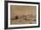 View of Sloten, C.1650-Rembrandt van Rijn-Framed Giclee Print