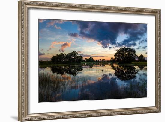 View of Small Pond at Sunset, Venice, Sarasota County, Florida, USA-null-Framed Photographic Print