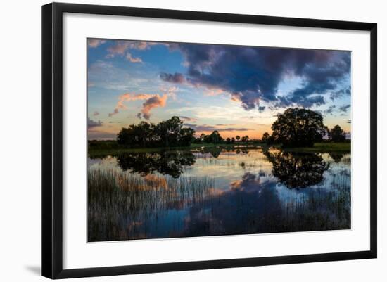 View of Small Pond at Sunset, Venice, Sarasota County, Florida, USA-null-Framed Photographic Print