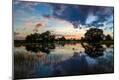 Photographic Print