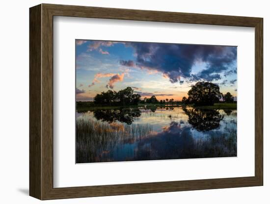 View of Small Pond at Sunset, Venice, Sarasota County, Florida, USA-null-Framed Photographic Print