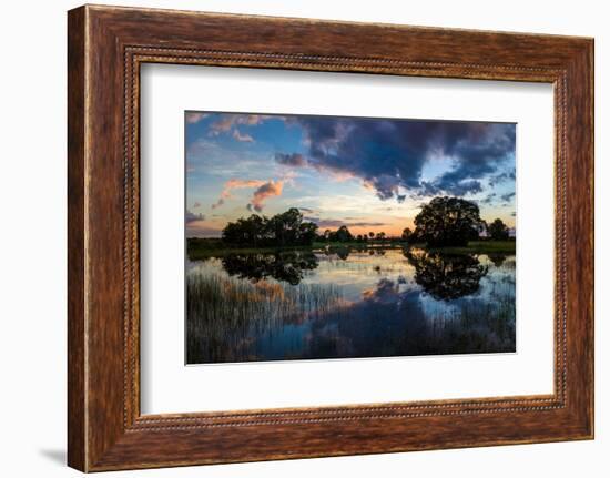 View of Small Pond at Sunset, Venice, Sarasota County, Florida, USA-null-Framed Photographic Print