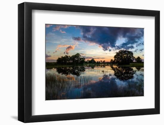 View of Small Pond at Sunset, Venice, Sarasota County, Florida, USA-null-Framed Photographic Print