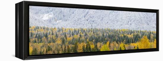 View of snow at autumn, Wells Gray Provincial Park, British Columbia, Canada-Panoramic Images-Framed Premier Image Canvas