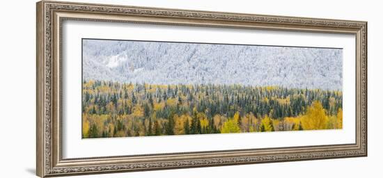 View of snow at autumn, Wells Gray Provincial Park, British Columbia, Canada-Panoramic Images-Framed Photographic Print