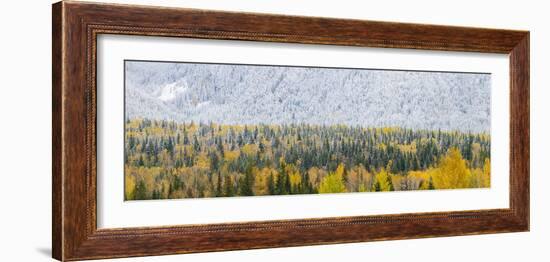 View of snow at autumn, Wells Gray Provincial Park, British Columbia, Canada-Panoramic Images-Framed Photographic Print