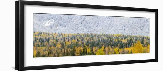 View of snow at autumn, Wells Gray Provincial Park, British Columbia, Canada-Panoramic Images-Framed Photographic Print