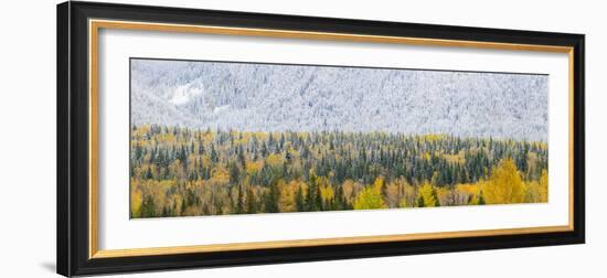 View of snow at autumn, Wells Gray Provincial Park, British Columbia, Canada-Panoramic Images-Framed Photographic Print