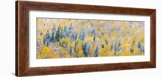 View of snow at autumn, Wells Gray Provincial Park, British Columbia, Canada-Panoramic Images-Framed Photographic Print