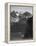 View Of Snow-Capped Mt Timbered Area Below "In Rocky Mountain National Park" Colorado 1933-1942-Ansel Adams-Framed Stretched Canvas