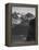 View Of Snow-Capped Mt Timbered Area Below "In Rocky Mountain National Park" Colorado 1933-1942-Ansel Adams-Framed Stretched Canvas