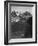 View Of Snow-Capped Mt Timbered Area Below "In Rocky Mountain National Park" Colorado 1933-1942-Ansel Adams-Framed Art Print