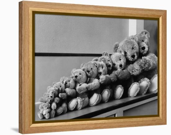 View of Some Teddy Bears-Michael Rougier-Framed Premier Image Canvas