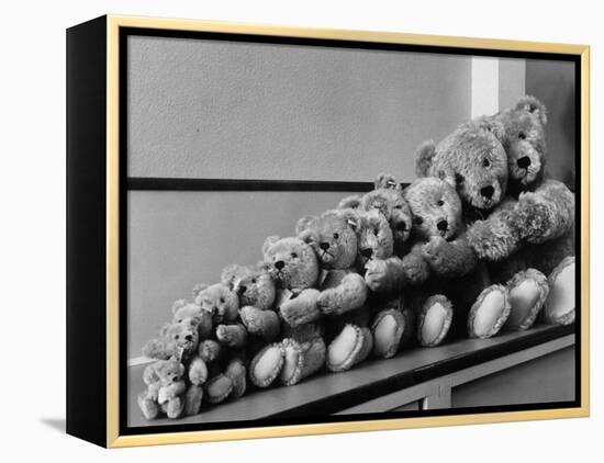 View of Some Teddy Bears-Michael Rougier-Framed Premier Image Canvas