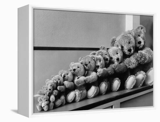 View of Some Teddy Bears-Michael Rougier-Framed Premier Image Canvas