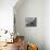 View of Some Teddy Bears-Michael Rougier-Mounted Photographic Print displayed on a wall