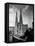 View of St. Patrick's Cathedral-null-Framed Premier Image Canvas