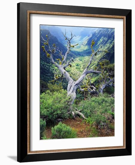 View of Steens Mountain at Little Blitzen River Gorge, Oregon, USA-Scott T. Smith-Framed Photographic Print