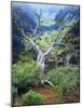 View of Steens Mountain at Little Blitzen River Gorge, Oregon, USA-Scott T. Smith-Mounted Photographic Print