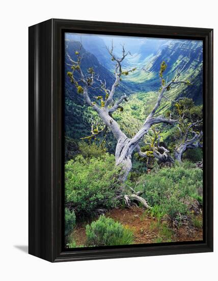 View of Steens Mountain at Little Blitzen River Gorge, Oregon, USA-Scott T. Smith-Framed Premier Image Canvas