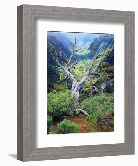 View of Steens Mountain at Little Blitzen River Gorge, Oregon, USA-Scott T. Smith-Framed Photographic Print