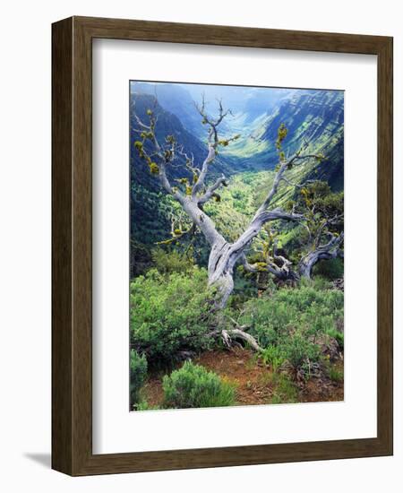 View of Steens Mountain at Little Blitzen River Gorge, Oregon, USA-Scott T. Smith-Framed Photographic Print