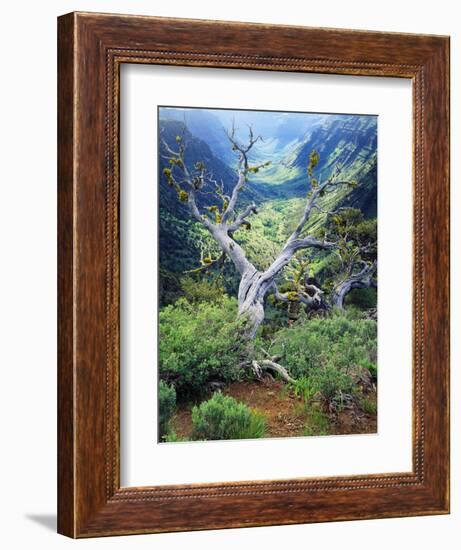 View of Steens Mountain at Little Blitzen River Gorge, Oregon, USA-Scott T. Smith-Framed Photographic Print