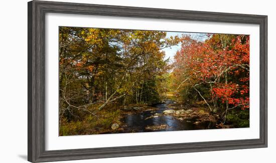 View of stream in fall colors, Maine, USA-null-Framed Photographic Print