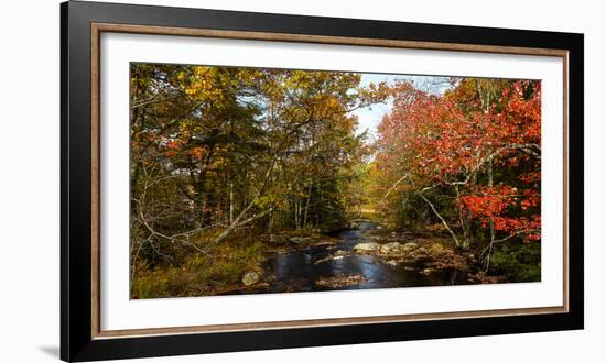 View of stream in fall colors, Maine, USA-null-Framed Photographic Print