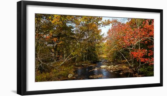 View of stream in fall colors, Maine, USA-null-Framed Photographic Print