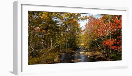 View of stream in fall colors, Maine, USA-null-Framed Photographic Print