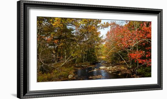 View of stream in fall colors, Maine, USA-null-Framed Photographic Print