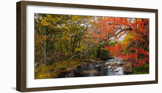 View of stream in fall colors, Maine, USA-null-Framed Photographic Print