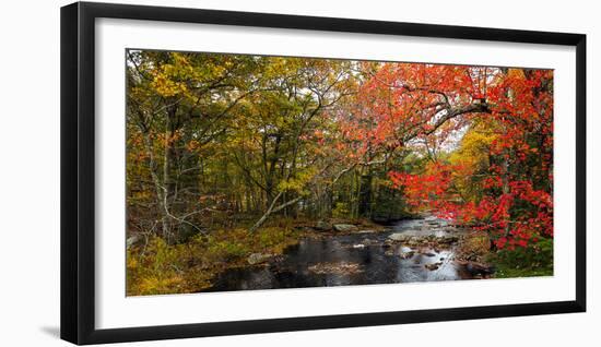 View of stream in fall colors, Maine, USA-null-Framed Photographic Print