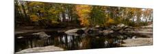 Photographic Print