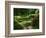 View of Strolling Pond Garden, Portland, Oregon, USA-Adam Jones-Framed Photographic Print