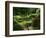 View of Strolling Pond Garden, Portland, Oregon, USA-Adam Jones-Framed Photographic Print