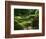 View of Strolling Pond Garden, Portland, Oregon, USA-Adam Jones-Framed Photographic Print