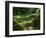 View of Strolling Pond Garden, Portland, Oregon, USA-Adam Jones-Framed Photographic Print