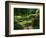 View of Strolling Pond Garden, Portland, Oregon, USA-Adam Jones-Framed Photographic Print