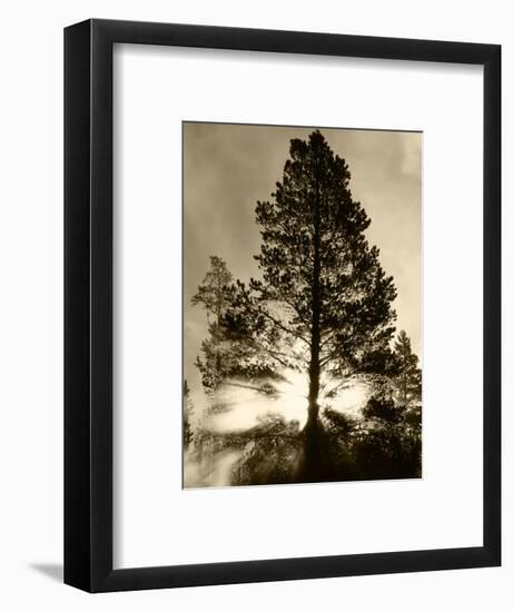 View of Sunbeam Through Trees, Yellowstone National Park, Wyoming, USA-Scott T. Smith-Framed Photographic Print