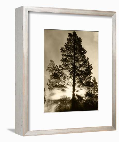 View of Sunbeam Through Trees, Yellowstone National Park, Wyoming, USA-Scott T. Smith-Framed Photographic Print