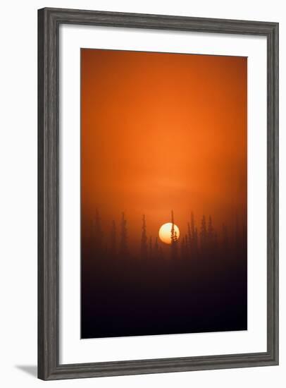 View of Sunrise over Spruces Trees, Fairbanks, Alaska, USA-Hugh Rose-Framed Photographic Print