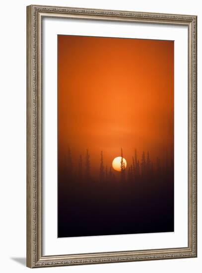 View of Sunrise over Spruces Trees, Fairbanks, Alaska, USA-Hugh Rose-Framed Photographic Print