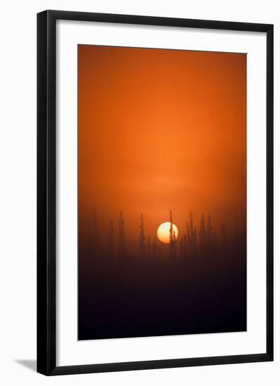 View of Sunrise over Spruces Trees, Fairbanks, Alaska, USA-Hugh Rose-Framed Photographic Print