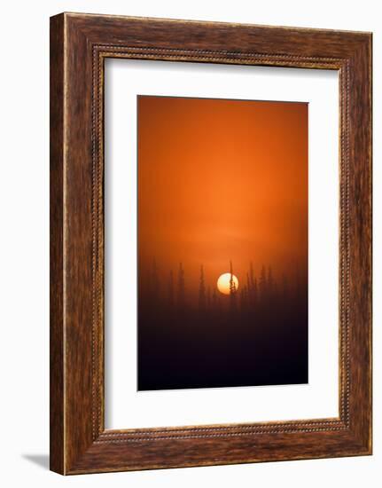 View of Sunrise over Spruces Trees, Fairbanks, Alaska, USA-Hugh Rose-Framed Photographic Print