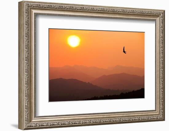 View of sunset over mountains with flying swift, Cumbria, UK-Ashley Cooper-Framed Photographic Print