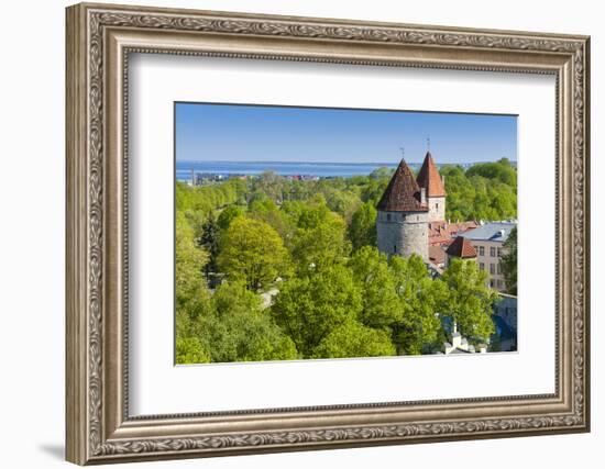 View of Tallinn from Toompea Hill, Old Town of Tallinn, Estonia, Baltic States-Nico Tondini-Framed Photographic Print