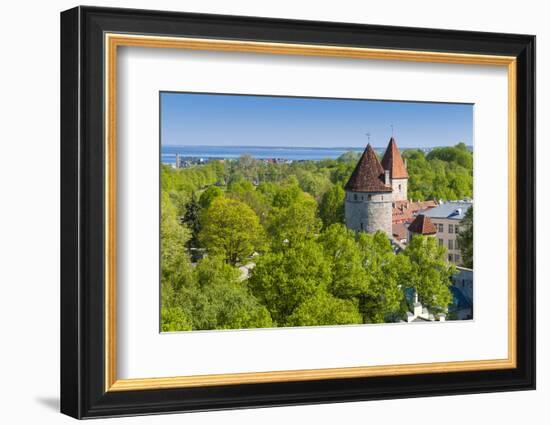 View of Tallinn from Toompea Hill, Old Town of Tallinn, Estonia, Baltic States-Nico Tondini-Framed Photographic Print