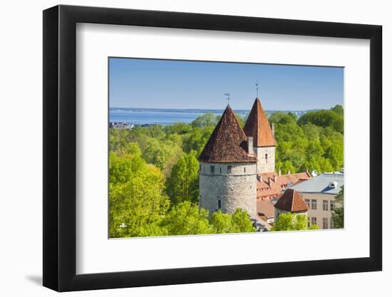 View of Tallinn from Toompea Hill, Old Town of Tallinn, Estonia, Baltic States-Nico Tondini-Framed Photographic Print